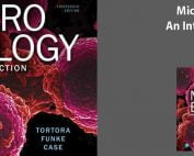 microbiology an introduction 13th edition pdf download